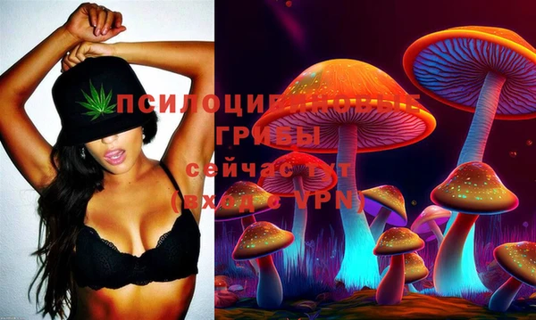 марки lsd Костерёво