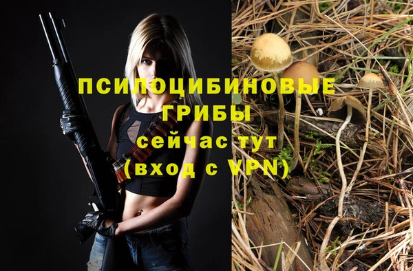 МДМА Краснослободск