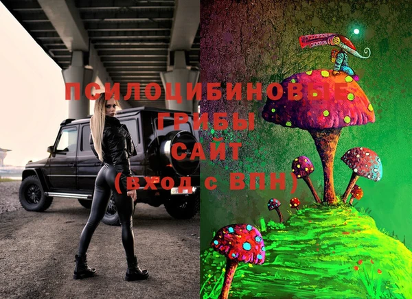 марки lsd Костерёво
