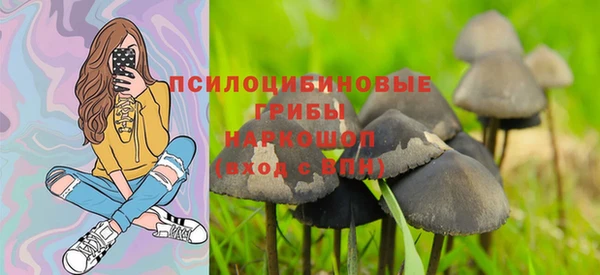 хмурый Коряжма